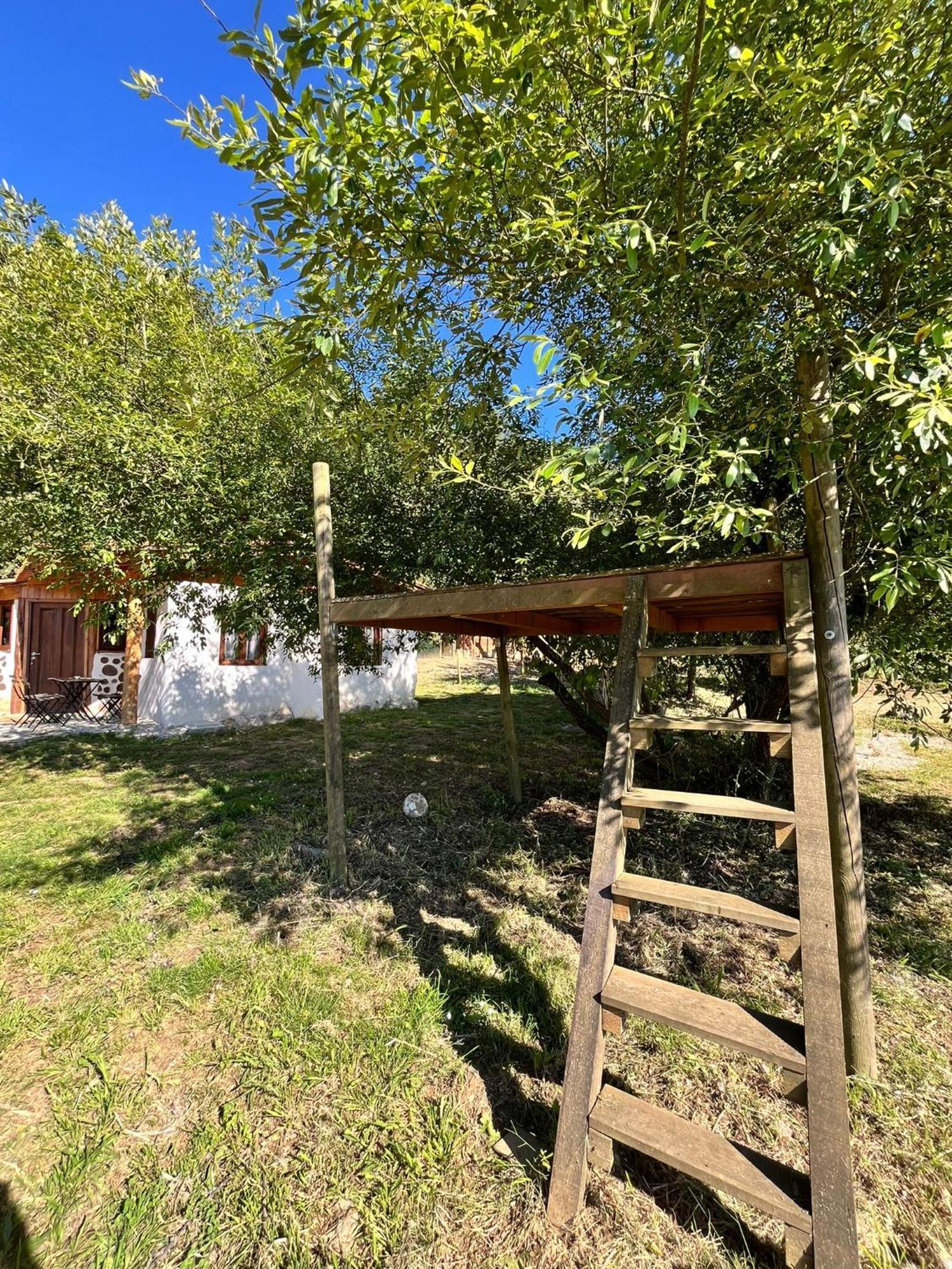 Associacao Quinta Das Relvas Branca Екстер'єр фото